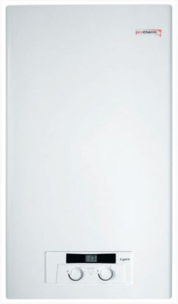 Газовый котел Protherm Lynx 24 кВт (Рысь) в Бресте