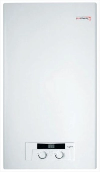 Газовый котел Protherm Lynx 24 кВт (Рысь) в Бресте