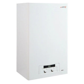Газовый котел Protherm Lynx 24 кВт (Рысь) в Бресте